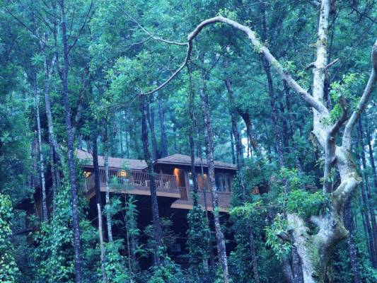 Coorg 2 Days Tour from Coimbatore