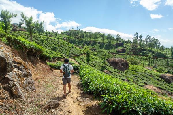 Munnar Family Tour Package from Coimbatore