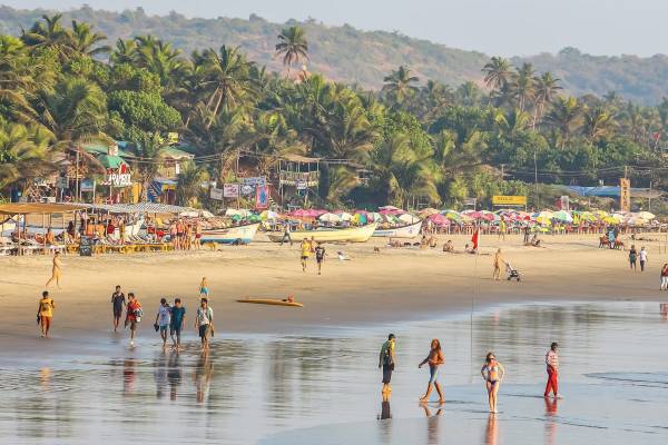 Luxury Tour Packages from Coimbatore