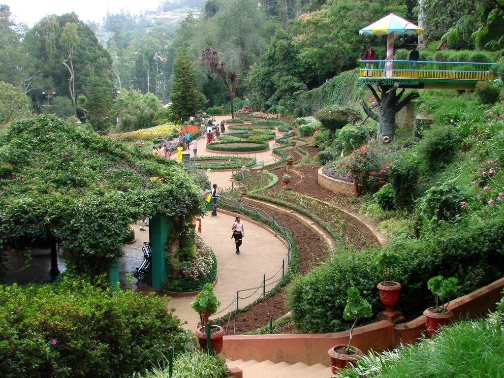 Ooty Tour Package